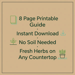 Hydroponic Kitchen Counter Herbs, A Beginner Guide to Growing Fresh Herbs Without Soil (Printable PDF)