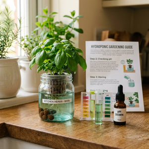 Hydroponic Kitchen Counter Herbs, A Beginner Guide to Growing Fresh Herbs Without Soil (Printable PDF)